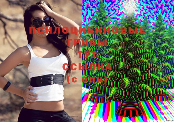 скорость Балахна