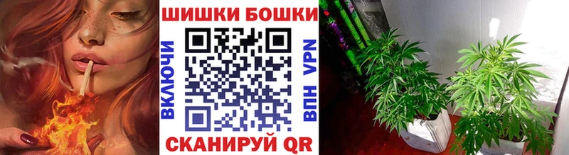 Каннабис план Камешково